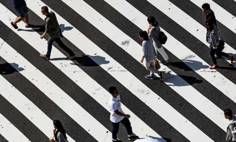 Cultivating Devoted Brand Followings